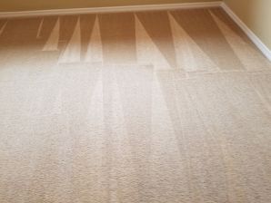 Carpet Restoration in Beaverton, OR (1)