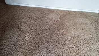 Carpet Cleaning in Hillsboro