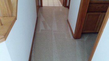 Carpet Cleaning Hillsboro OR