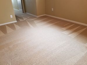 Carpet Restoration in Beaverton, OR (2)
