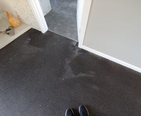 Before & After Carpet Cleaning in Beaverton, OR (1)