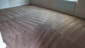 Carpet Cleaning Hillsboro